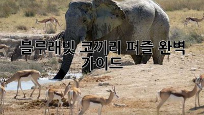 블루래빗 코끼리 퍼즐: 완벽 가이드