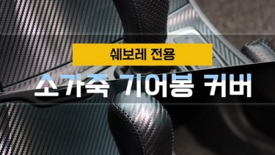 윈스톰 기어봉: 후회없는 선택? 솔직 후기와 꿀팁 대방출!